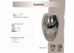 Luzron