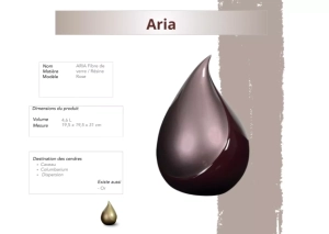 Aria
