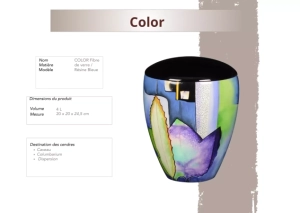 Color