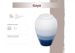 Gaya