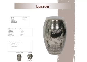 Luzron