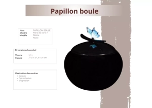 Papillon boule