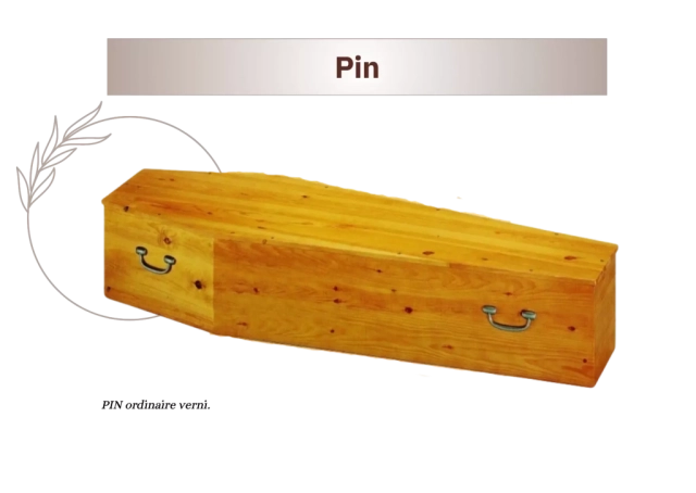 Pin