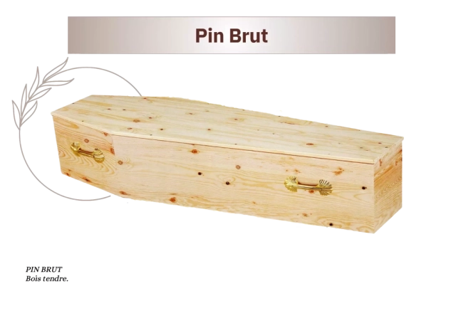 Pin Brut