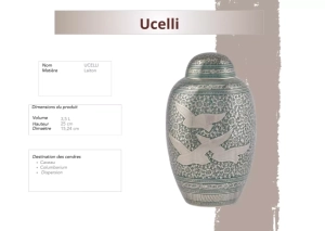 Ucelli